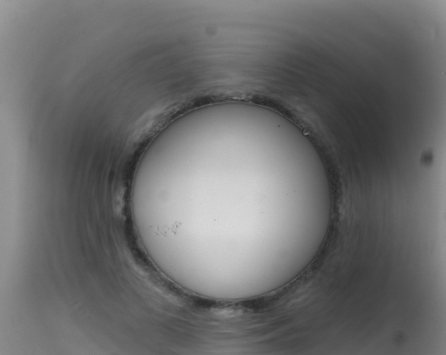 X0000115670693200911121007