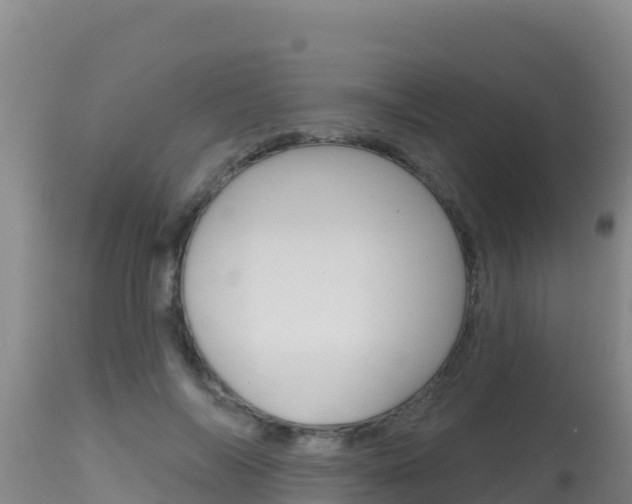 X0000115670694200911121007