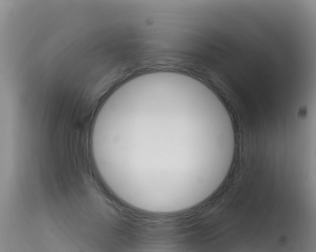 X0000115670696200911121007