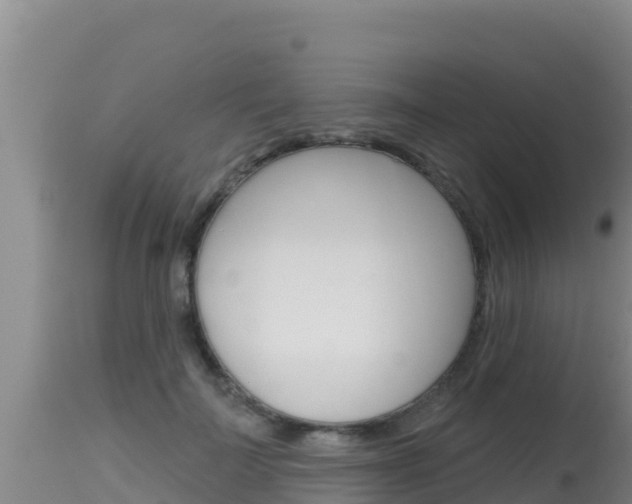 X0000115670699200911121007