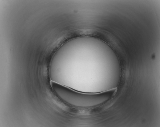 X0000115670700200911121007
