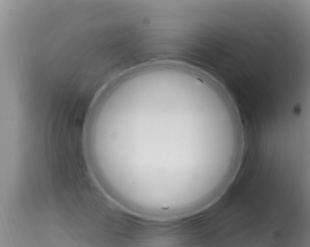 X0000115670701200911121007