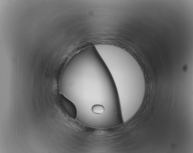 X0000115670704200911121007