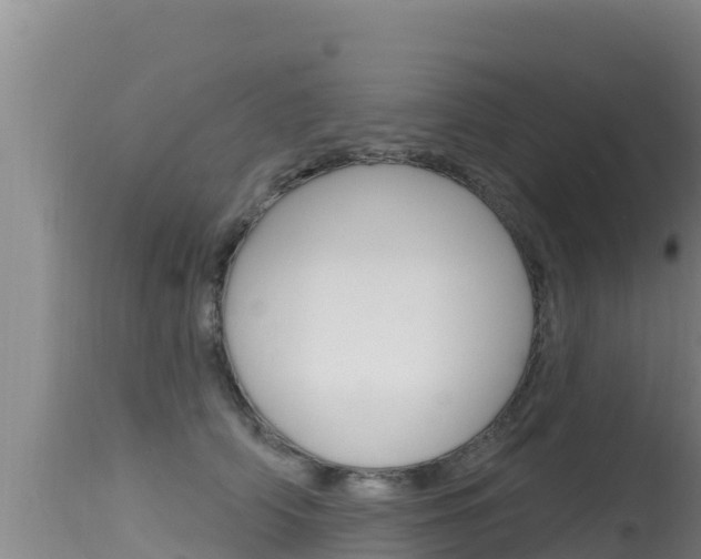 X0000115670706200911121007