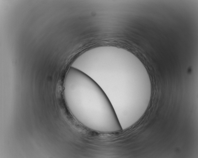 X0000115670707200911121007