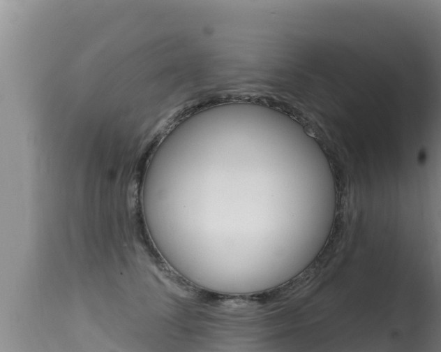 X0000115670708200911121007