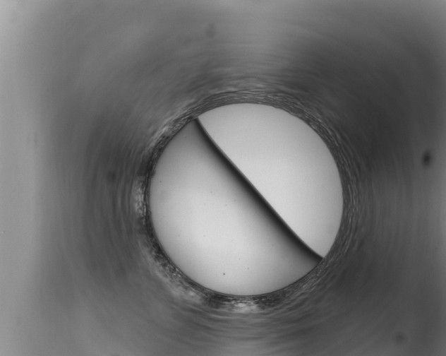 X0000115670715200911121006