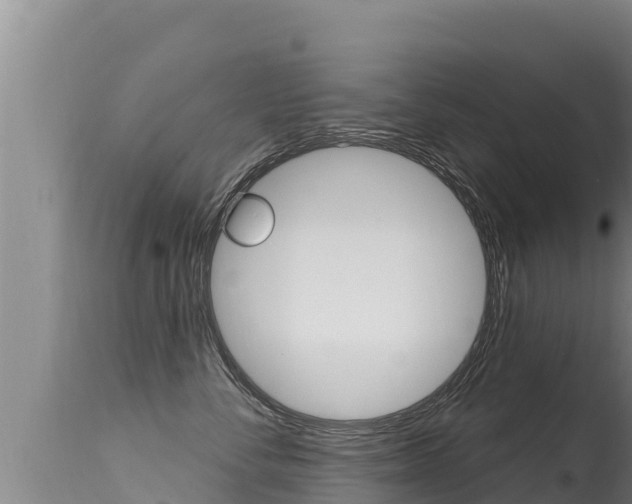 X0000115670716200911121006