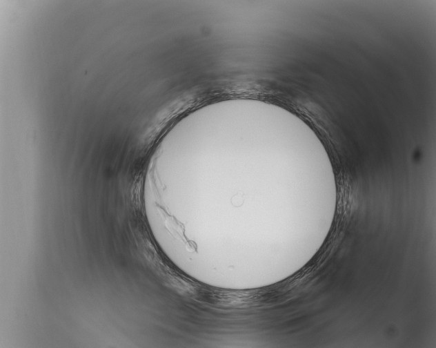 X0000115670717200911121006