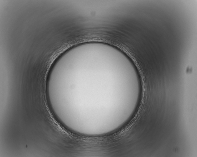 X0000115670721200911121006