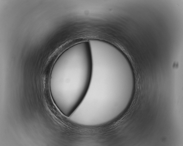 X0000115670722200911121006