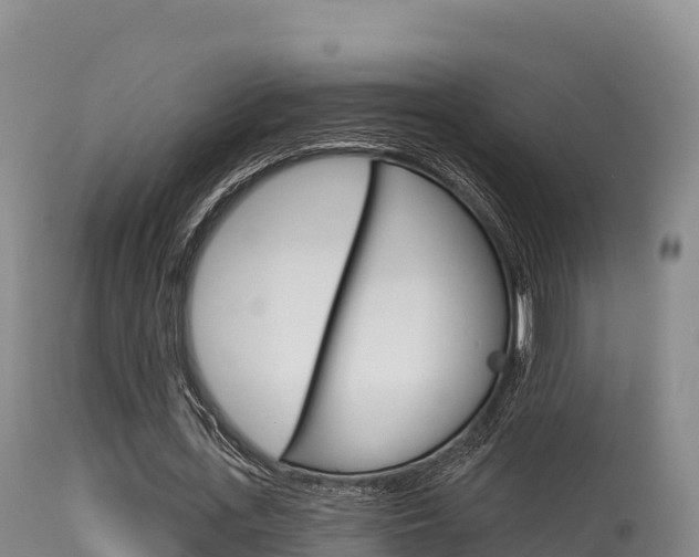 X0000115670723200911121006