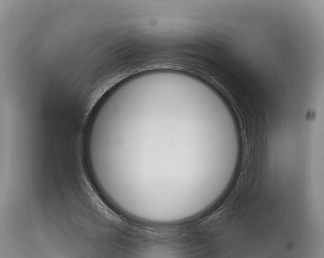 X0000115670725200911121006