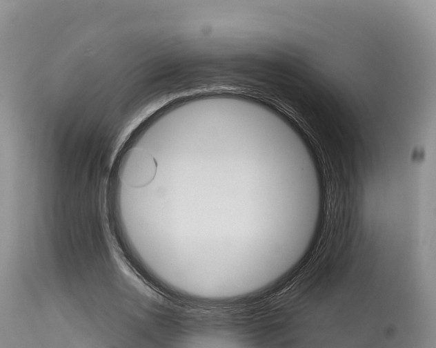X0000115670726200911121006