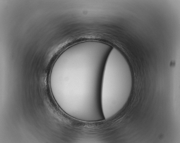 X0000115670727200911121006