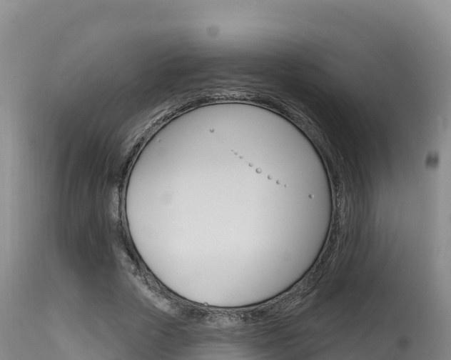 X0000115670729200911121006