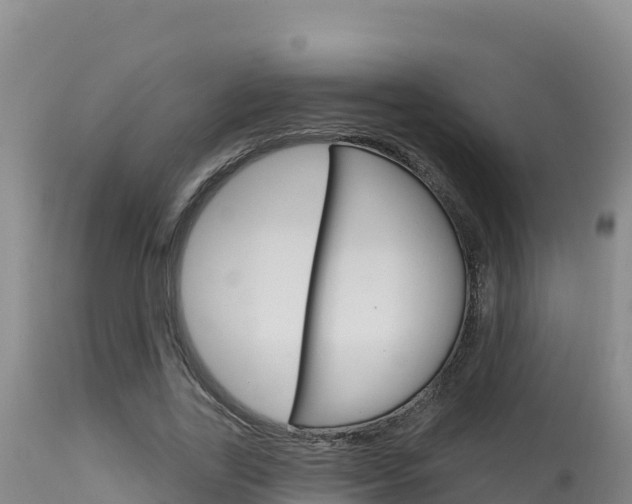 X0000115670731200911121006