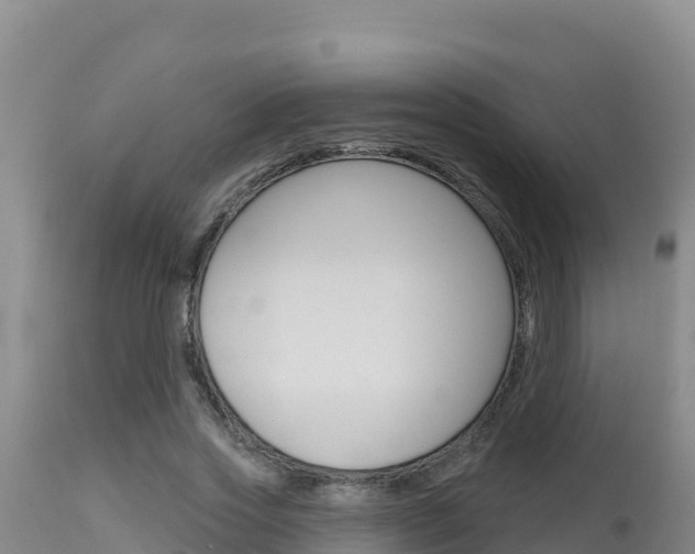 X0000115670733200911121006