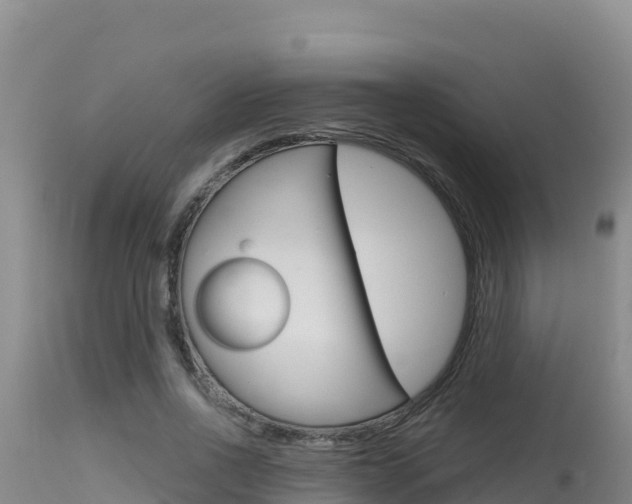 X0000115670734200911121006