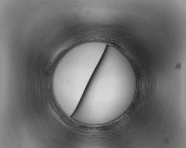 X0000115670735200911121006