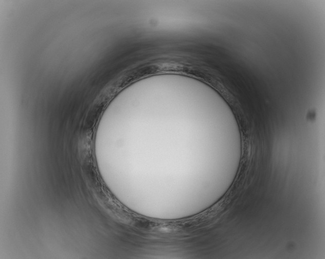 X0000115670737200911121006