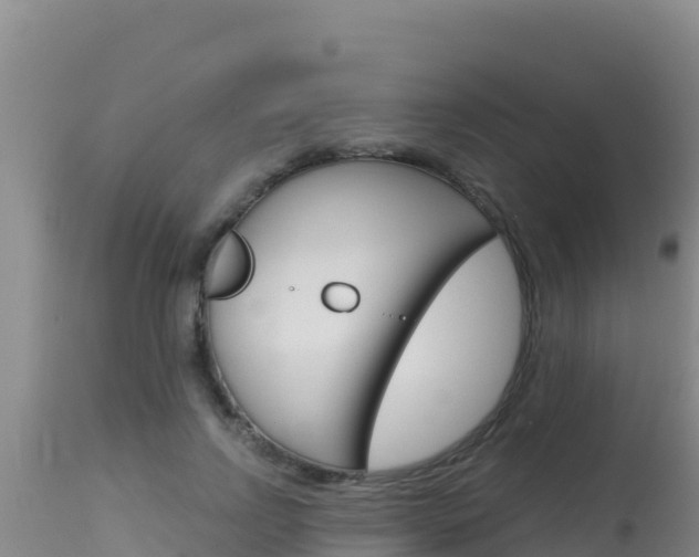 X0000115670742200911121006