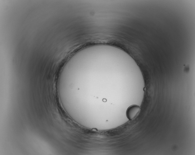 X0000115670743200911121006