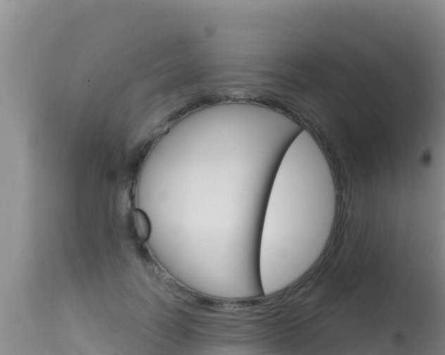 X0000115670746200911121006