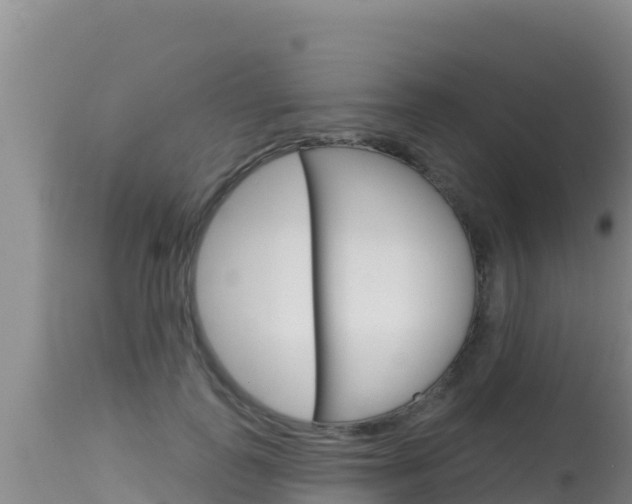 X0000115670747200911121006