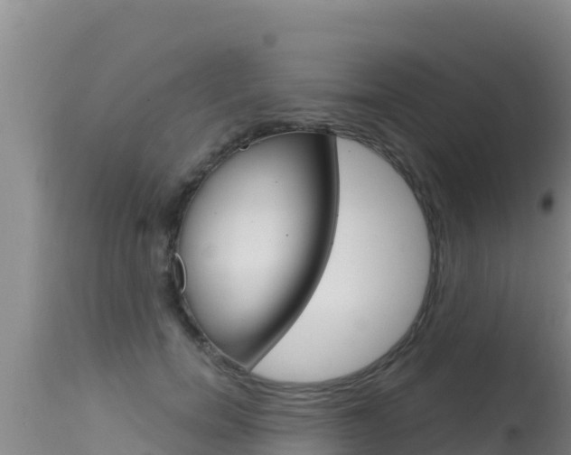 X0000115670750200911121006