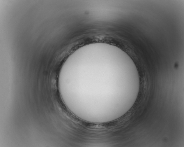 X0000115670754200911121006