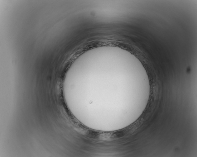 X0000115670757200911121006