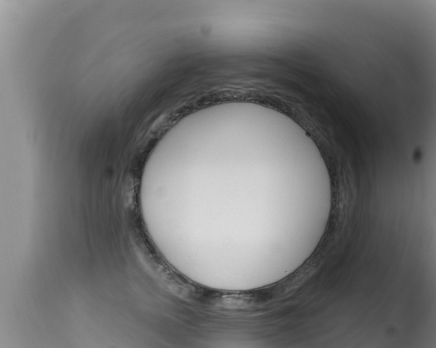 X0000115670758200911121006