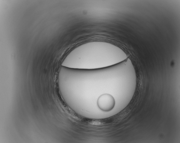 X0000115670759200911121006
