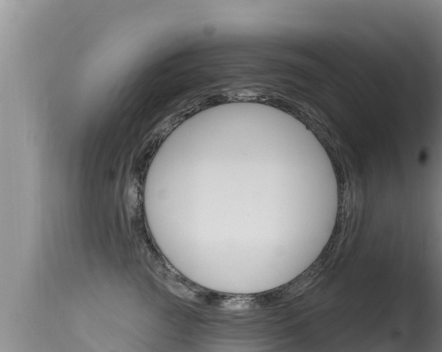 X0000115670761200911121006