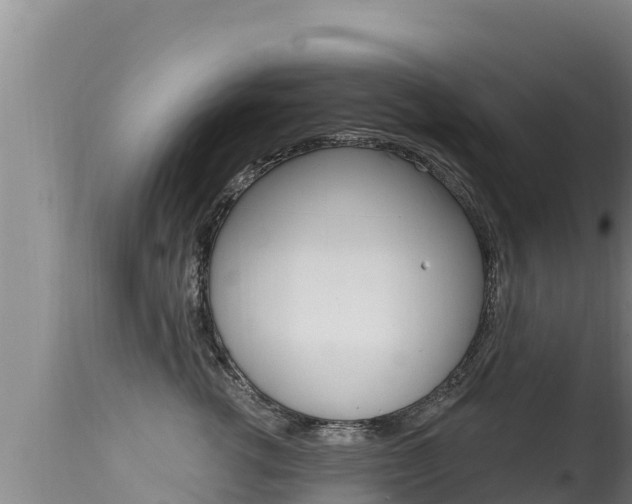X0000115670762200911121006