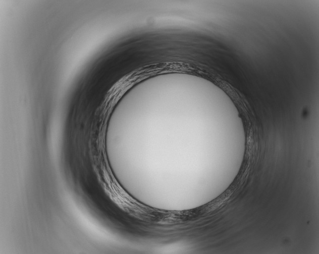 X0000115670765200911121006