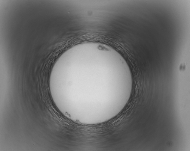X0000115670769200911121006