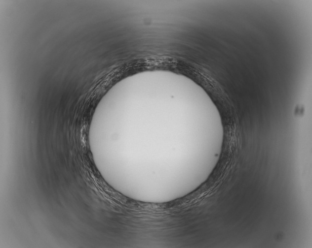 X0000115670770200911121006