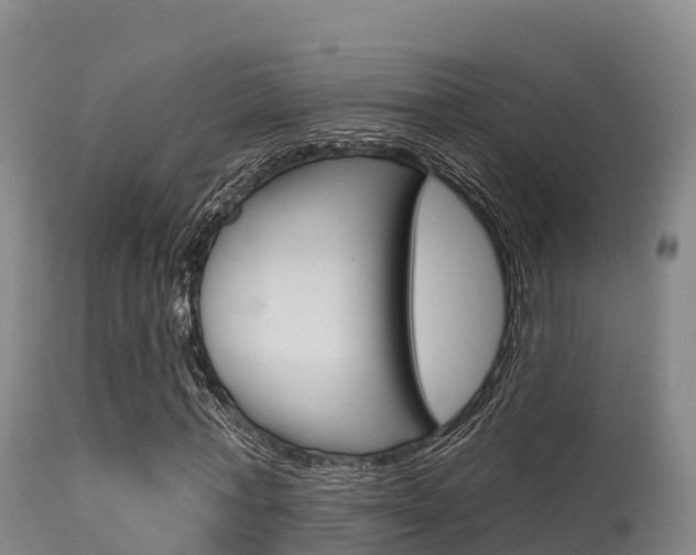X0000115670771200911121006