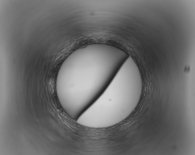 X0000115670772200911121006