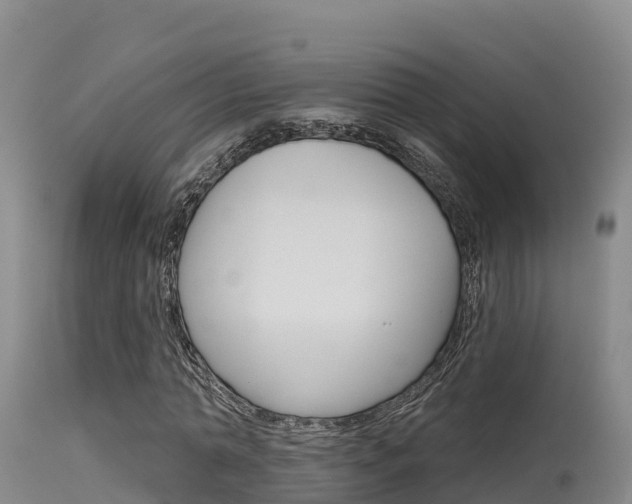 X0000115670774200911121006