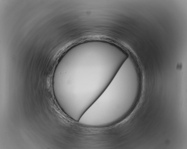 X0000115670777200911121006