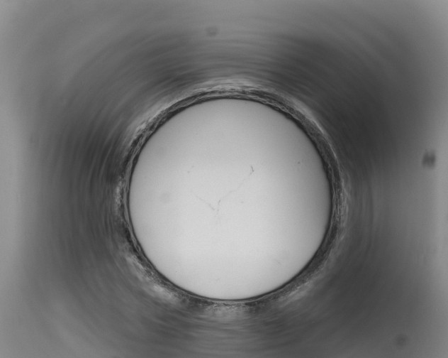 X0000115670778200911121006