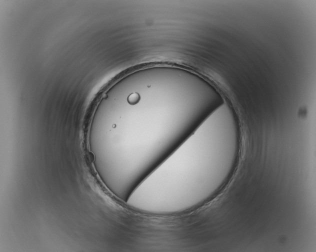 X0000115670780200911121006