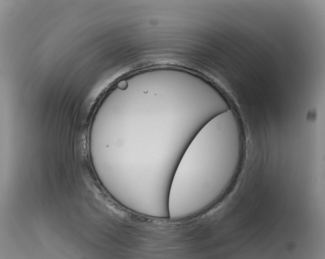 X0000115670782200911121006