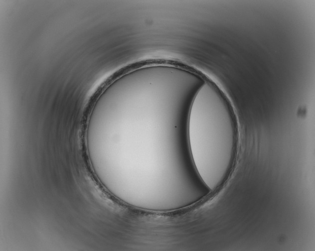 X0000115670783200911121005