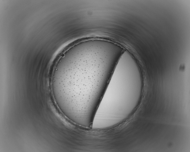 X0000115670784200911121005
