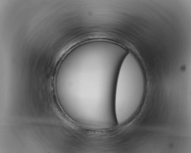 X0000115670786200911121005