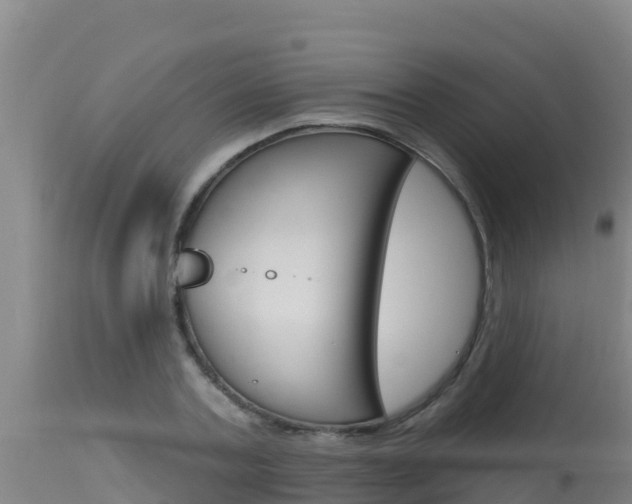 X0000115670787200911121005